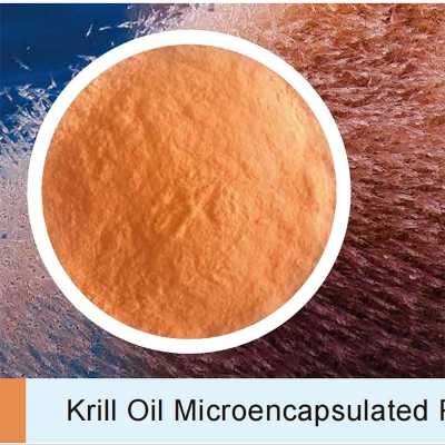 Antarctic Krill Oil Softgel